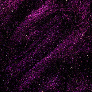 Cat Eye E01 - Imagen 3