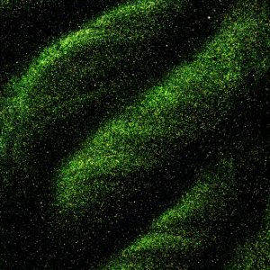 Cat Eye E02 - Imagen 3