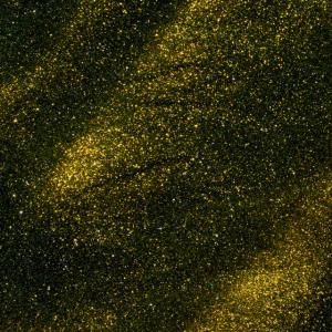 Cat Eye E04 - Imagen 3