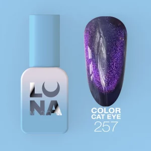 Color Cat Eye n257 8ml - Imagen 1